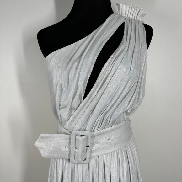 Retrofete Platinum Andrea One Shoulder Pleated Metallic Jersey Gown Small - Picture 6 of 14